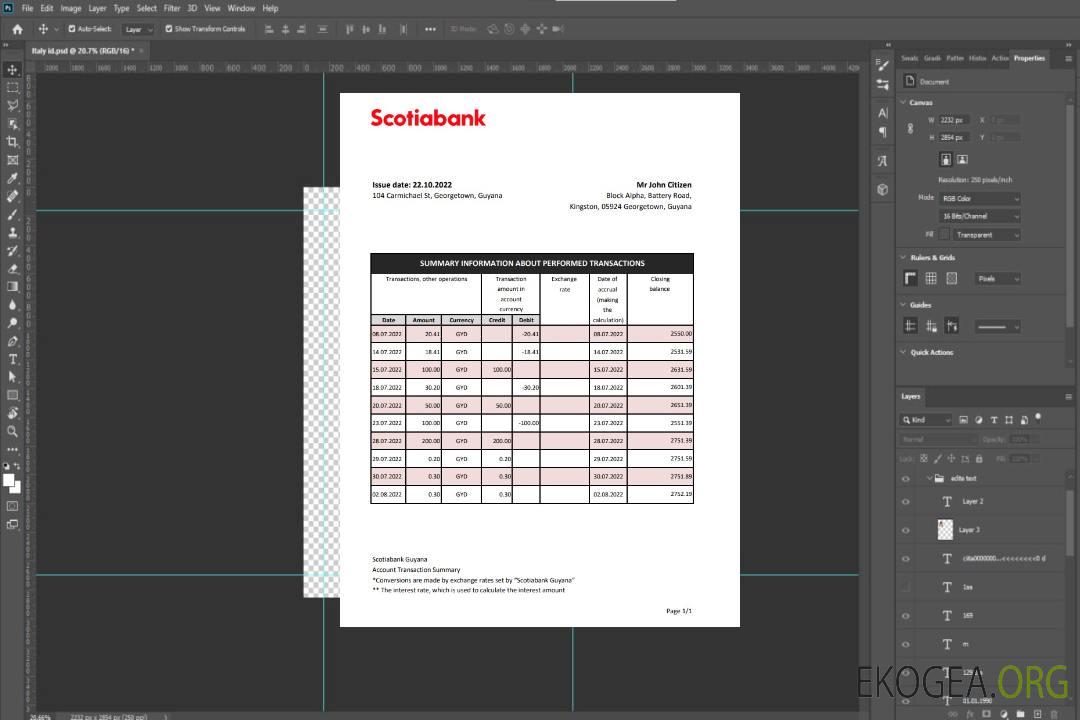 Déclaration de la Guyana Bank of Nova Scotia template Déclaration de la Guyana Bank of Nova Scotia template